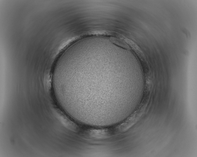 X0000113240160200910011333