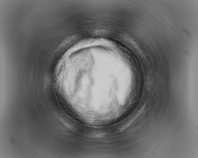 X0000113240161200910011333