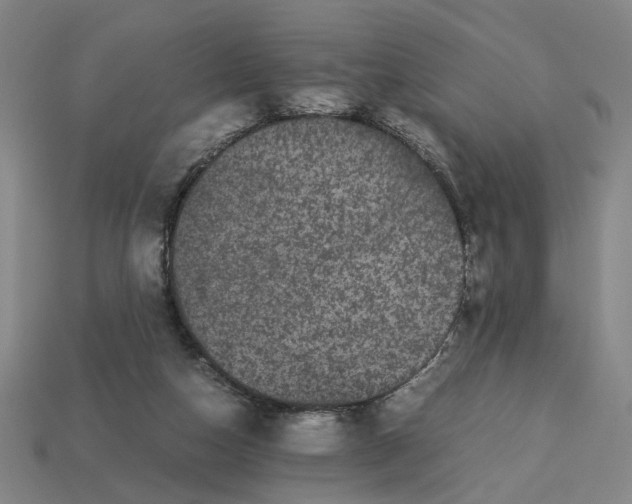 X0000113240162200910011333