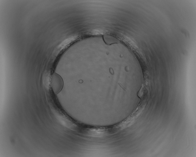 X0000113240164200910011333