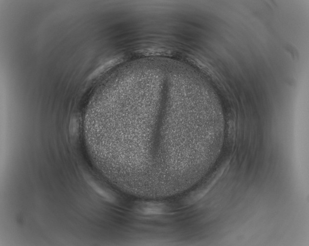 X0000113240165200910011333