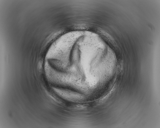 X0000113240166200910011333