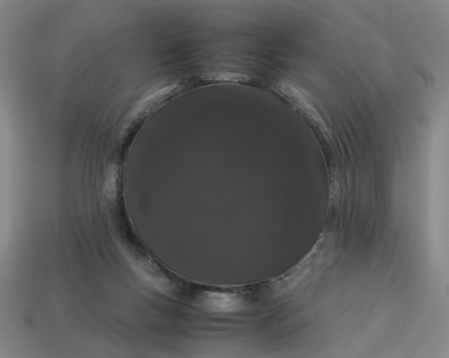 X0000113240167200910011333