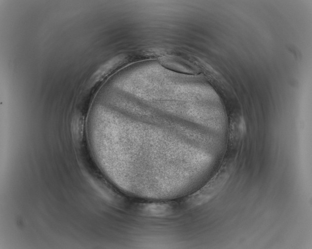 X0000113240168200910011333