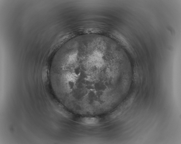 X0000113240169200910011333