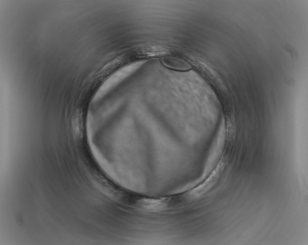 X0000113240170200910011333