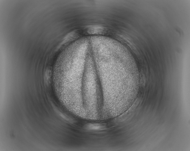 X0000113240171200910011333