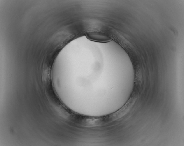 X0000113240172200910011333