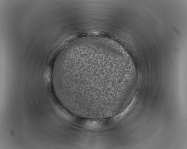 X0000113240174200910011333