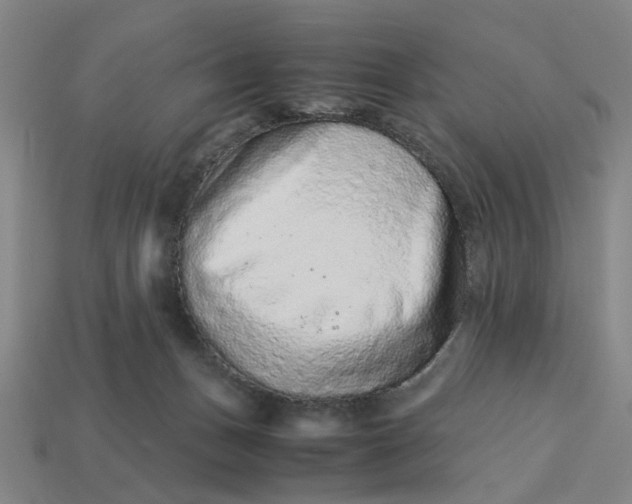 X0000113240175200910011333