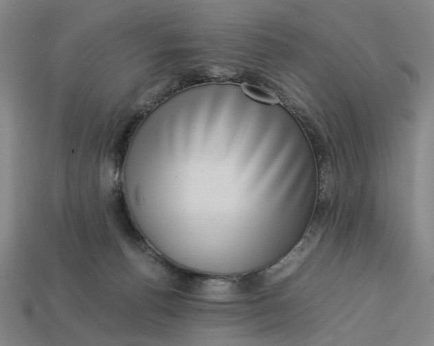 X0000113240176200910011333