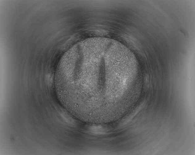 X0000113240177200910011333