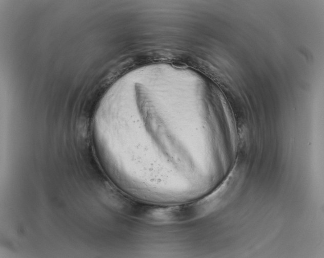 X0000113240178200910011333