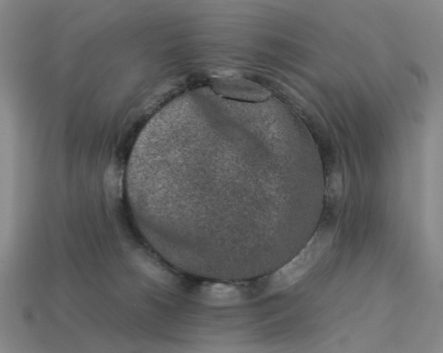 X0000113240180200910011333