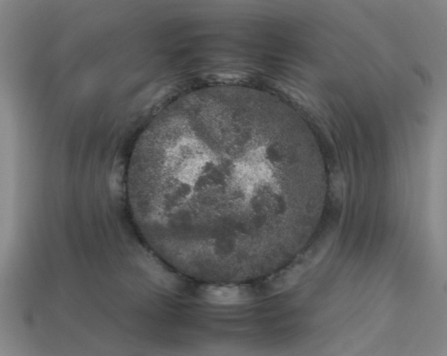 X0000113240181200910011333