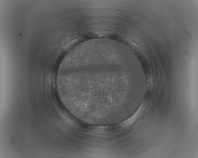 X0000113240182200910011333