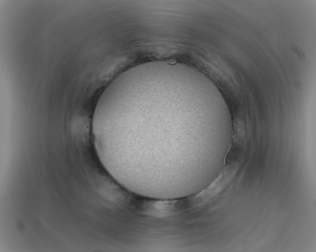 X0000113240184200910011333