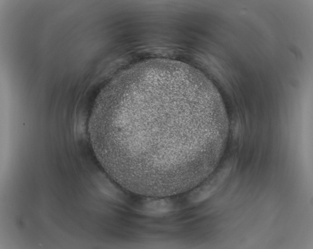 X0000113240185200910011333