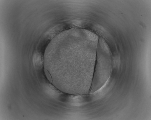 X0000113240186200910011333