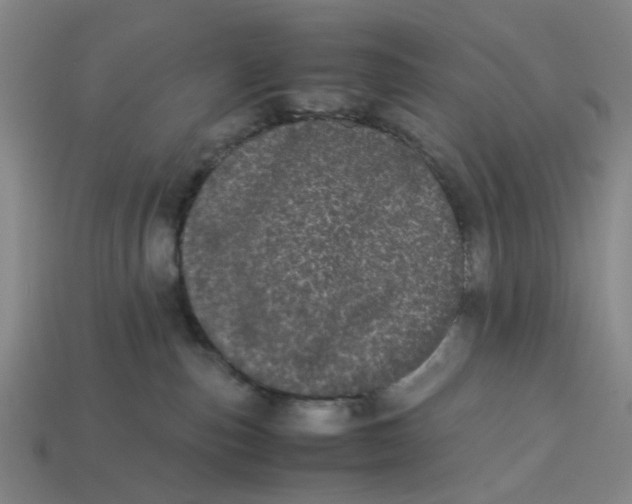 X0000113240187200910011333