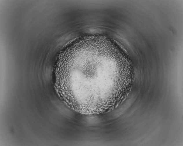 X0000113240189200910011333