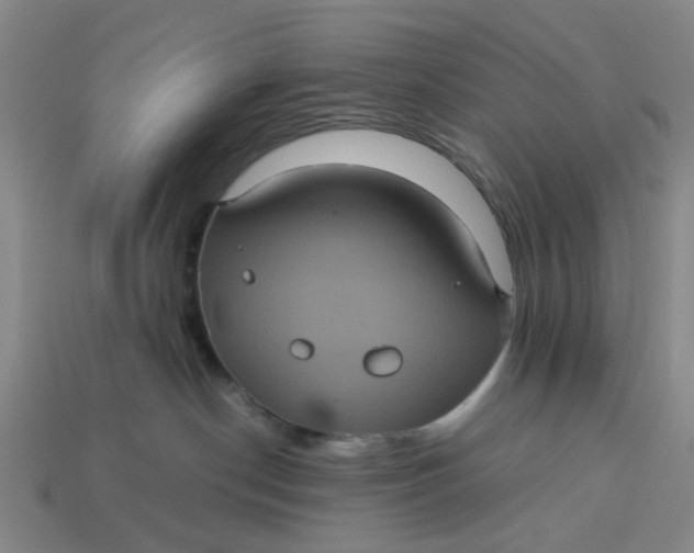 X0000113240190200910011333