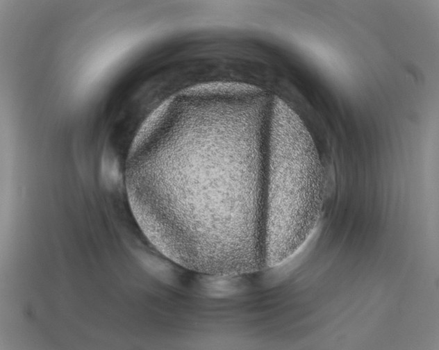 X0000113240191200910011333