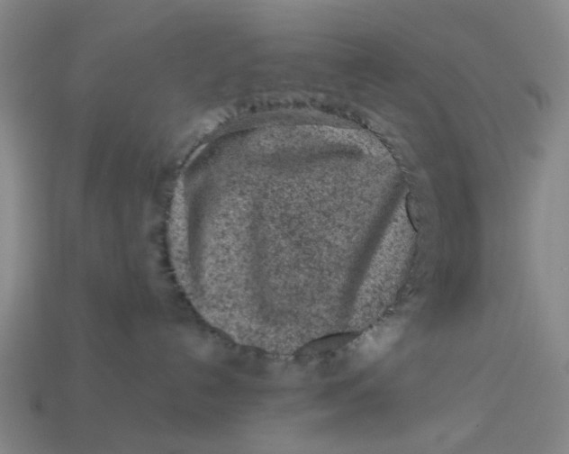 X0000113240192200910011333