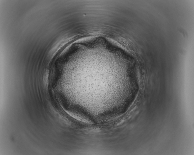 X0000113240194200910011333