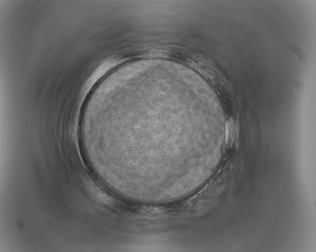 X0000113240195200910011333