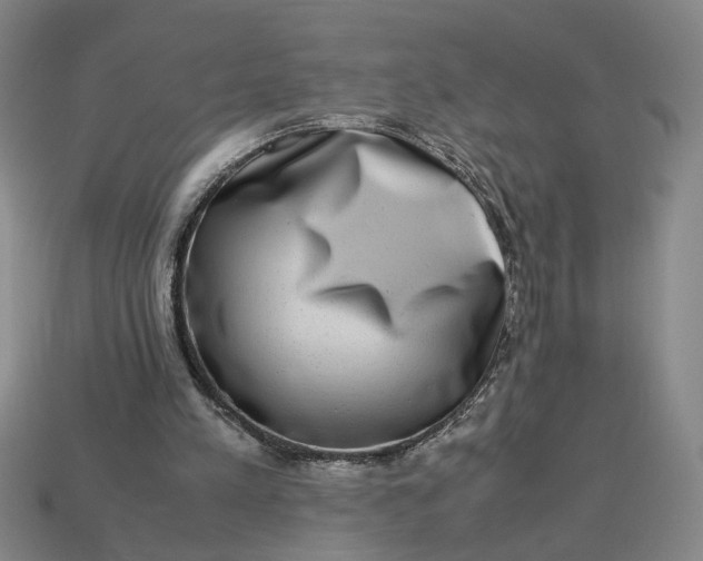 X0000113240197200910011333