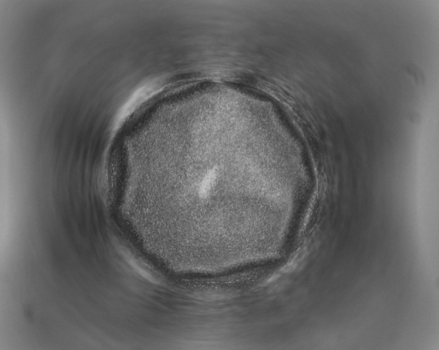 X0000113240198200910011333