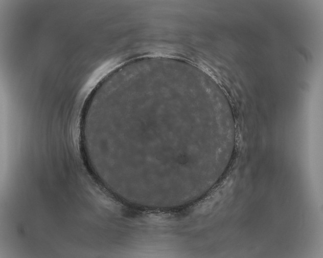 X0000113240199200910011333