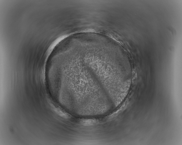 X0000113240200200910011333