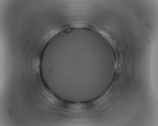 X0000113240201200910011333