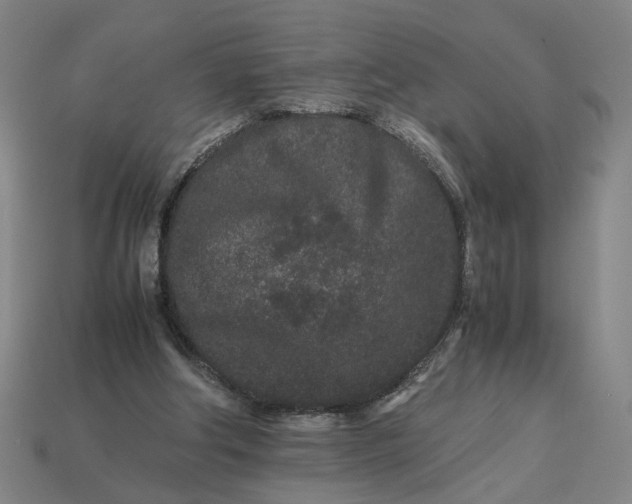 X0000113240202200910011333