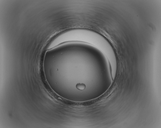 X0000113240203200910011333