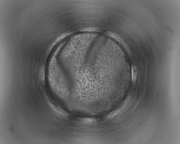 X0000113240204200910011333