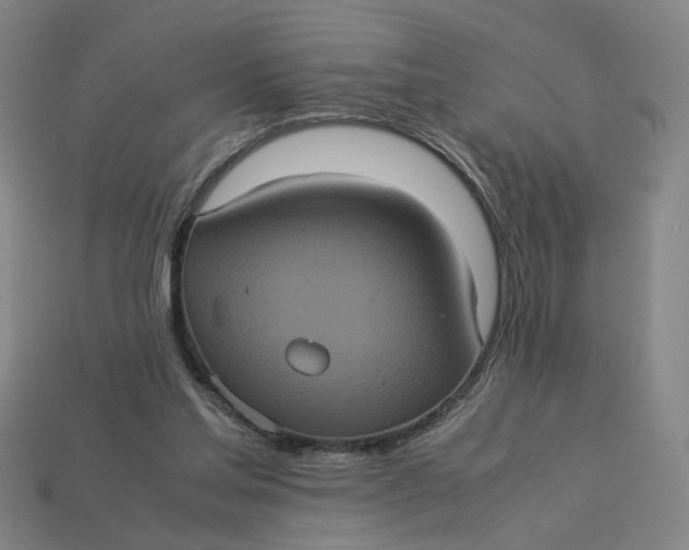 X0000113240205200910011333