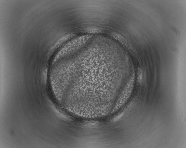 X0000113240206200910011333