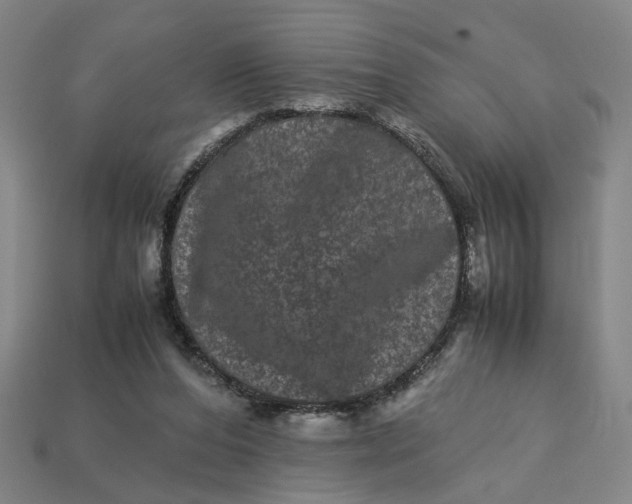 X0000113240208200910011333