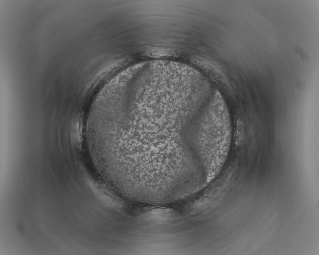 X0000113240210200910011332