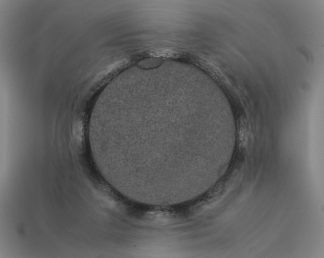 X0000113240211200910011332