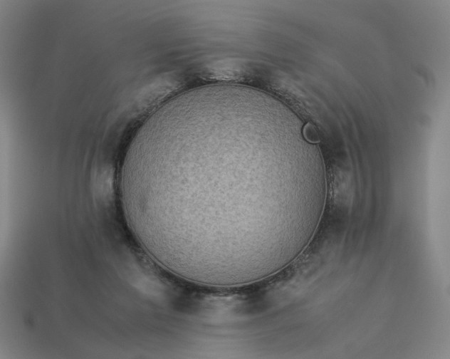 X0000113240213200910011332