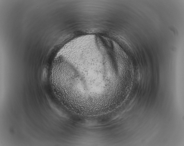 X0000113240214200910011332