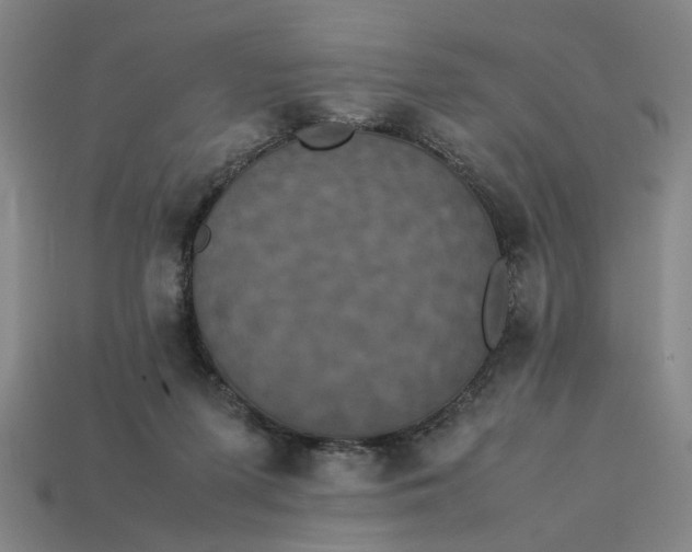 X0000113240215200910011332