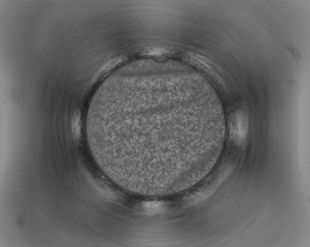 X0000113240216200910011332