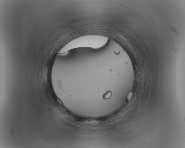 X0000113240217200910011332