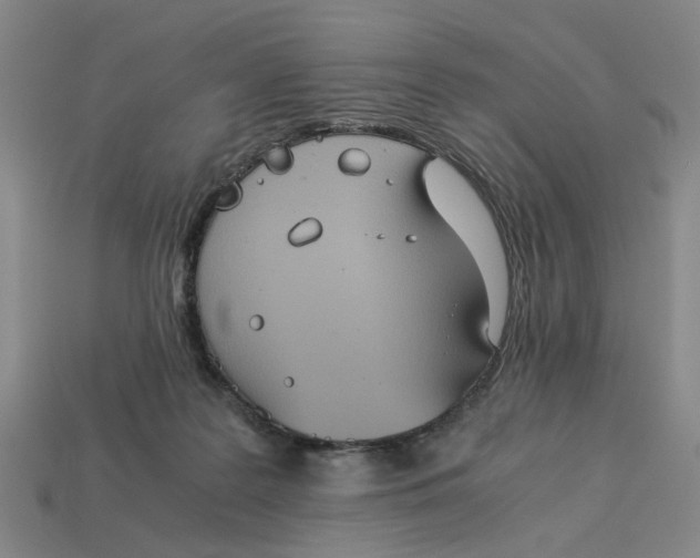 X0000113240219200910011332