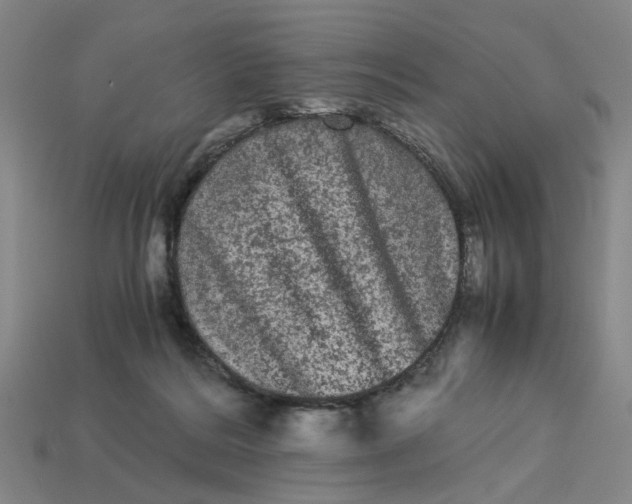 X0000113240220200910011332